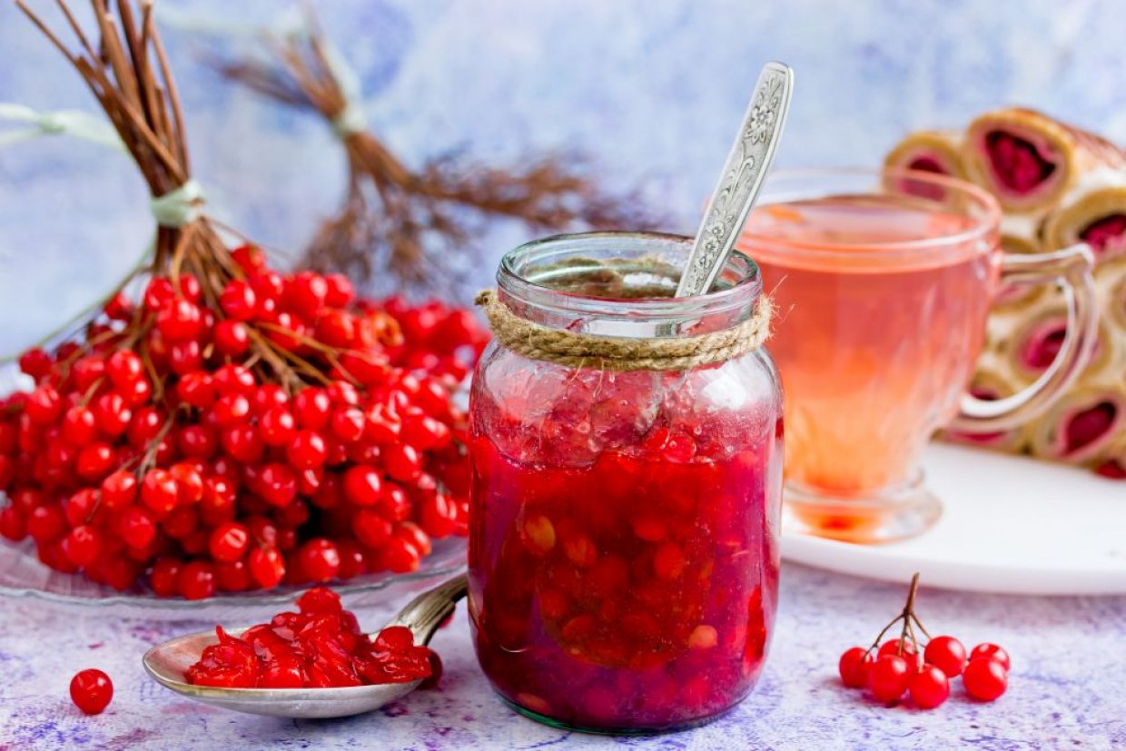 Калина с сахаром и медом на зиму без варки Калина с сахаром и медом на зиму без варки
