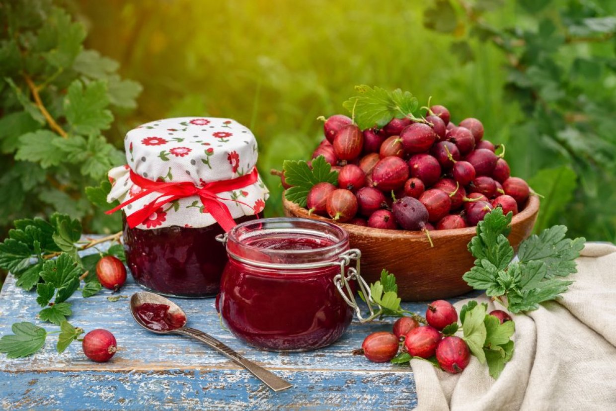 Варенье из красного крыжовника с апельсином Варенье из красного крыжовника с апельсином