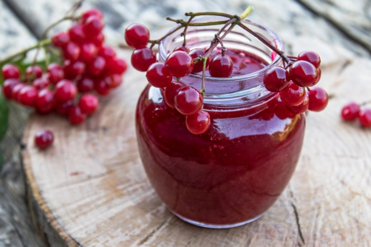 Желе из красной калины Желе из красной калины