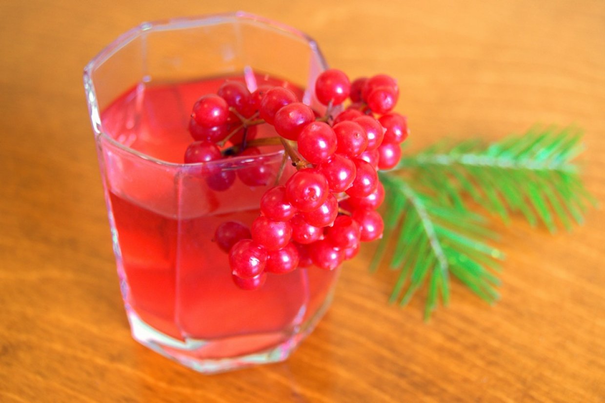 Компот из калины с яблоками на зиму