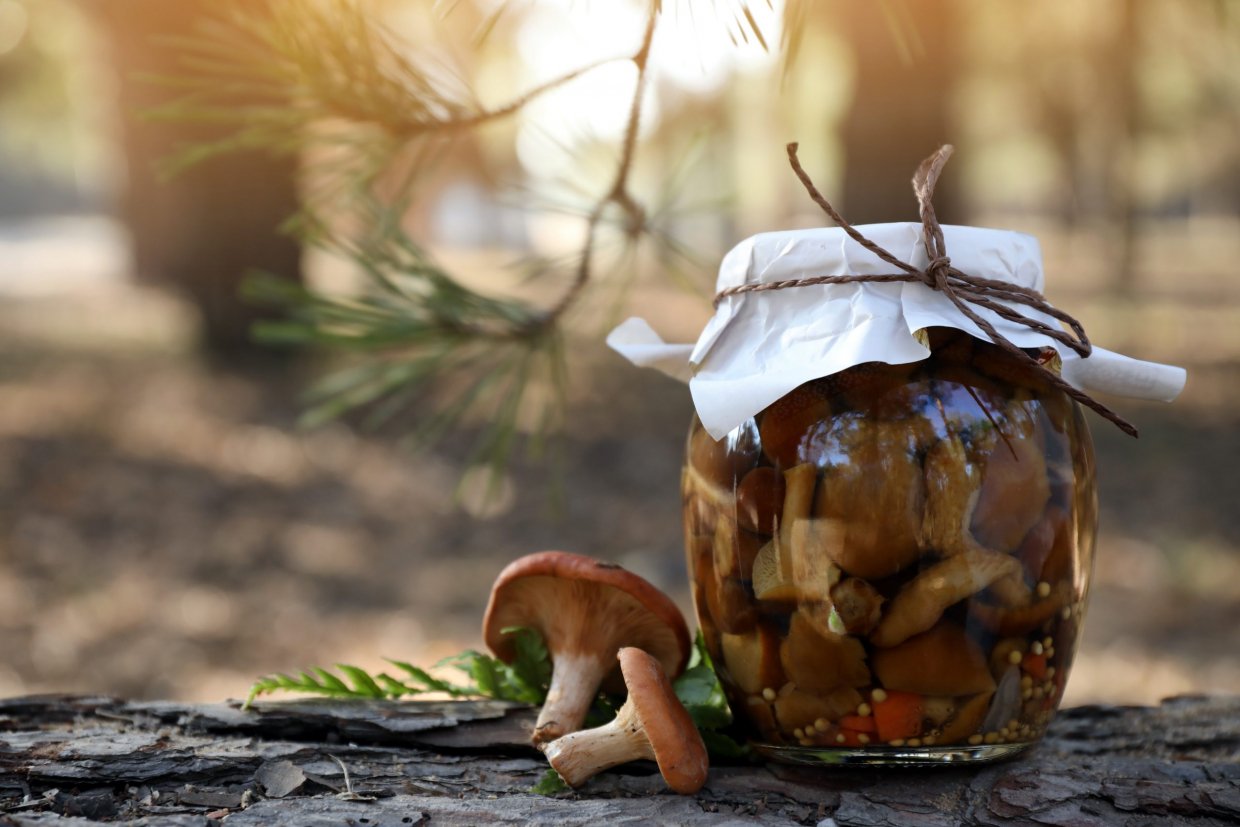 Маринованные грибы с уксусом на зиму Маринованные грибы с уксусом на зиму