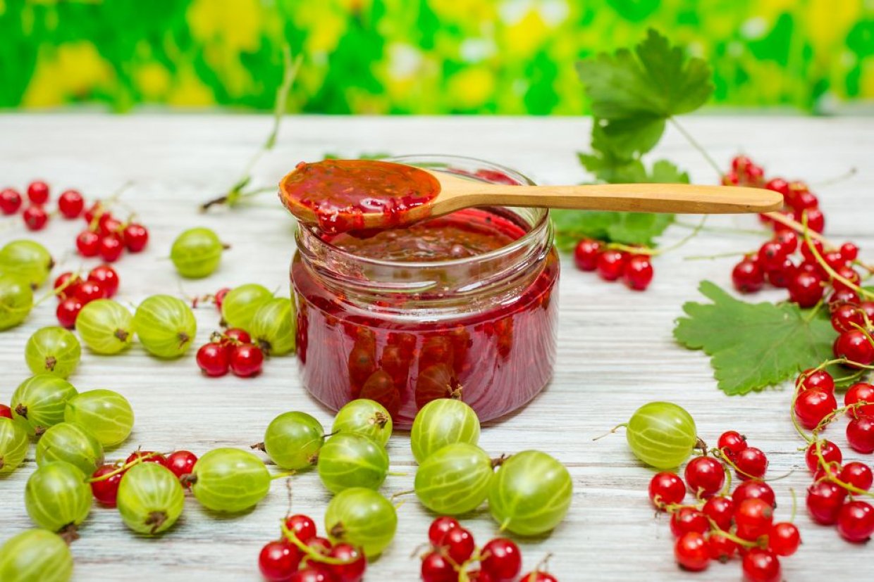 Джем из крыжовника и красной смородины Джем из крыжовника и красной смородины