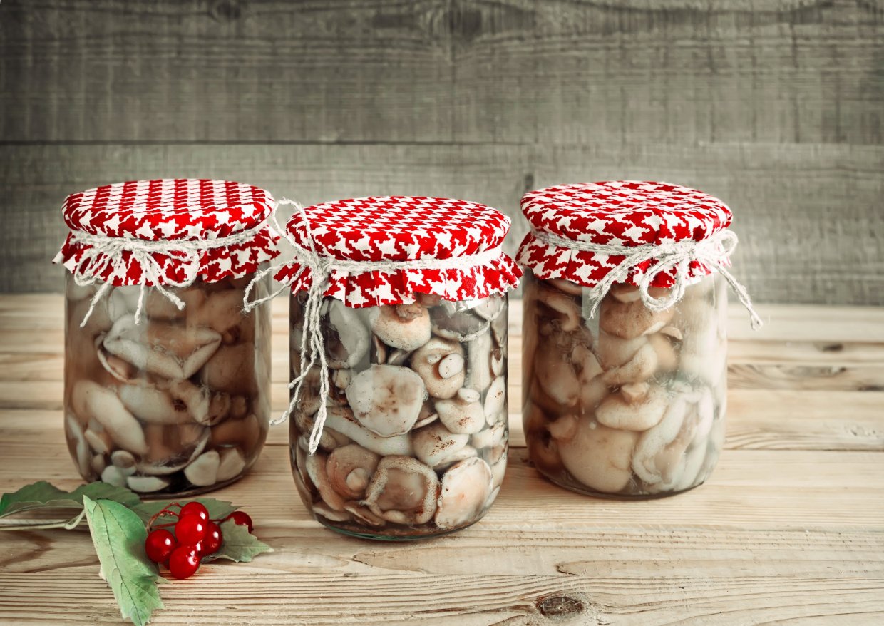 Маринованные грибы синеножки