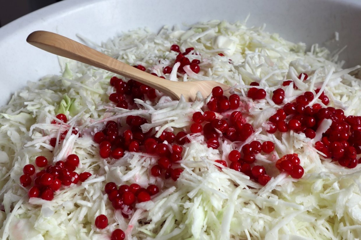 Квашеная капуста с калиной на зиму