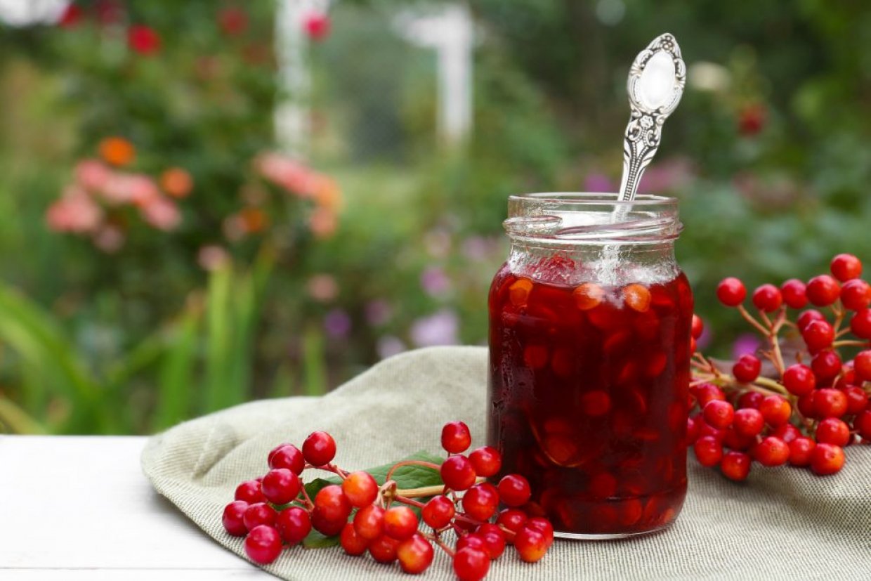 Варенье из красной калины с косточками Варенье из красной калины с косточками