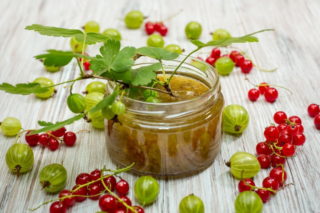 Желе из крыжовника и красной смородины Желе из крыжовника и красной смородины
