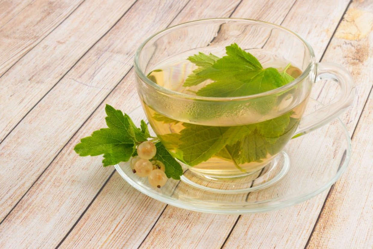 Компот из белой смородины Компот из белой смородины