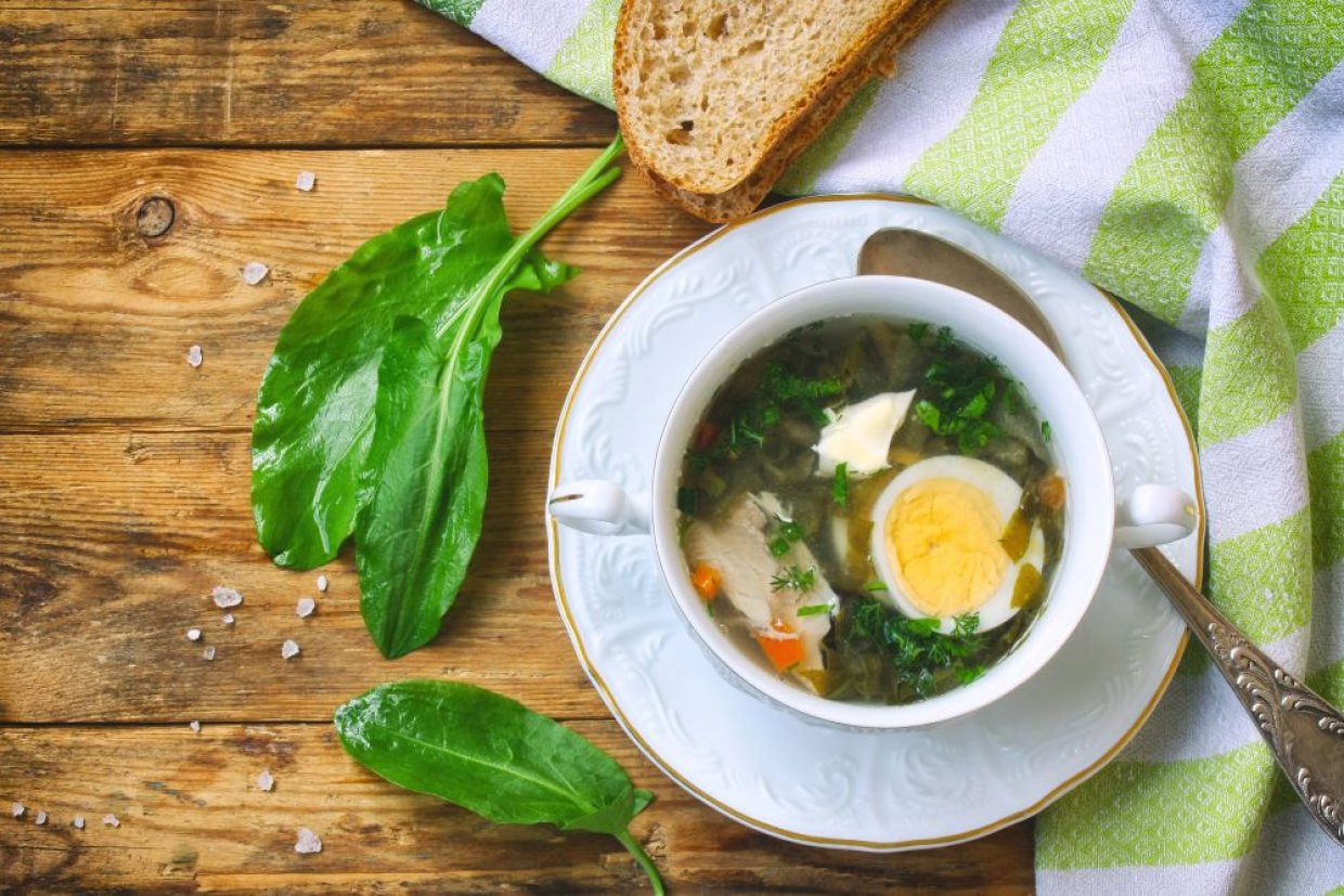 Щавелевый суп с курицей и яйцом Щавелевый суп с курицей и яйцом